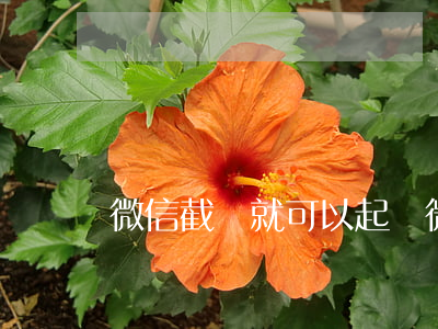 微信截圖就可以起訴(微信截圖打官司)