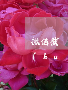 微信截圖泄露被起訴 微信截圖泄露被起訴會(huì)怎么樣