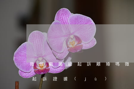 微信截圖能起訴離婚嗎 微信截圖能不能作為起訴證據(jù)