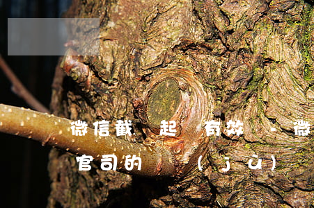 微信截圖起訴有效嗎-微信截圖能否作為打官司的證據(jù)
