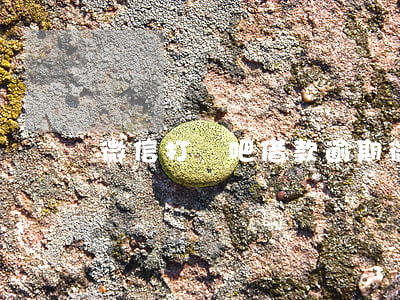 微信打條吧借款逾期(微信借款逾期一天)