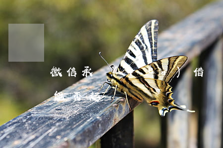 微信承認(rèn)借錢可以起訴(微信借款能否起訴)