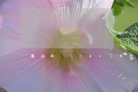 微信承認(rèn)欠款多久起訴