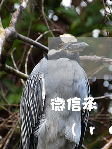 微信承認(rèn)欠款能起訴嗎-微信承認(rèn)欠款能起訴嗎有效嗎