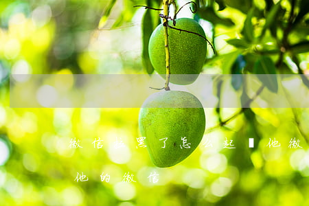 微信拉黑了怎么起訴他 微信拉黑了怎么起訴他的微信