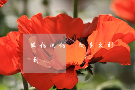 微信捷信貸款多久到賬戶(捷信金融下款多久到賬)