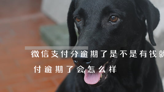 微信支付分逾期了是不是有钱就扣-微信分付逾期了会怎么样