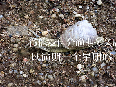 微信支付分逾期多久后可以用-微信分付可以逾期一个星期吗