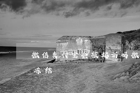 微信支付宝会被起诉吗(微信支付宝会不会被冻结)
