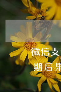 微信支付寶借唄逾期后果(微信支付寶借唄逾期后果)