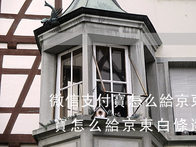 微信支付寶怎么給京東白條還款-微信支付寶怎么給京東白條還款啊
