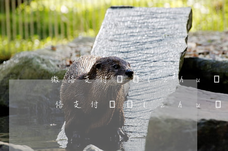 微信支付寶轉(zhuǎn)賬咋起訴-微信支付寶轉(zhuǎn)賬能起訴嗎