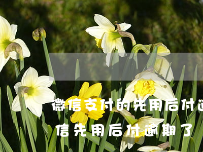微信支付的先用后付逾期了怎么辦-如果微信先用后付逾期了會(huì)怎么樣