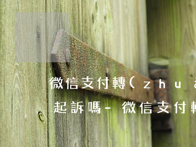 微信支付轉(zhuǎn)賬電子憑證可以起訴嗎-微信支付轉(zhuǎn)賬電子憑證可以起訴嗎安全嗎