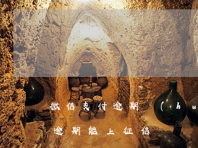 微信支付逾期會(huì)上征信嗎(支付寶逾期能上征信嗎)
