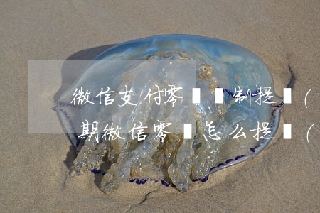 微信支付零錢強制提現(xiàn)（分付逾期微信零錢怎么提現(xiàn)）