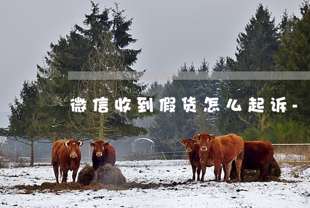 微信收到假货怎么起诉-微信发假货