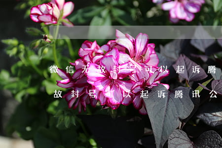 微信无故封号可以起诉腾讯公司么-微信无故封号可以起诉腾讯公司么