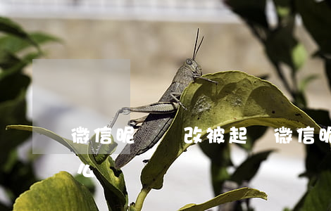 微信昵稱亂改被起訴 微信昵稱亂改被起訴怎么辦