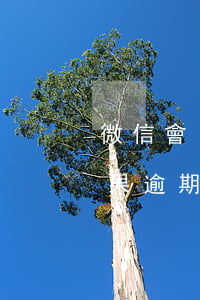 微信會(huì)被花唄逾期扣掉嗎(花唄如果逾期了會(huì)從支付寶余額扣嗎)