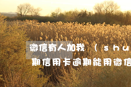 微信有人加我說(shuō)是我信用卡逾期（信用卡逾期能用微信嗎）