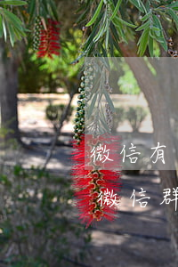 微信有人加我說是我信用卡逾期（信用卡逾期微信群號碼）