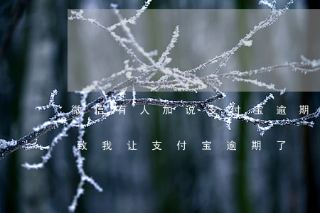 微信有人加说支付宝逾期 曾因为特殊情况导致我让支付宝逾期了