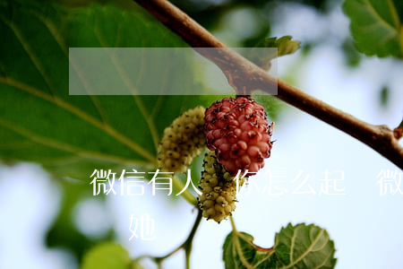 微信有人罵你怎么起訴(微信有人罵你怎么起訴她)