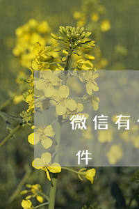 微信有什么借錢軟件可靠（微信有什么借錢軟件）