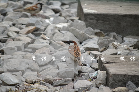 微信有借條怎么起訴 微信借條在法律上有效嗎