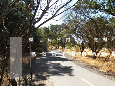微信有分付征信逾期可以申請(qǐng)嗎 微信上征信嗎逾期了