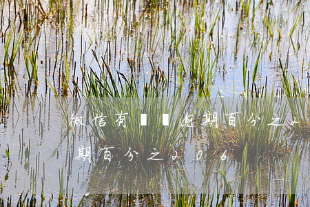 微信有憑證逾期百分之206(微信有憑證逾期百分之206)