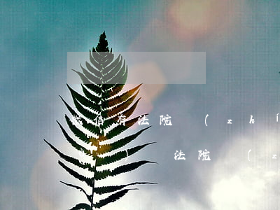 微信有法院執(zhí)行可以提現(xiàn)嗎(法院執(zhí)行微信第二天又能用了)