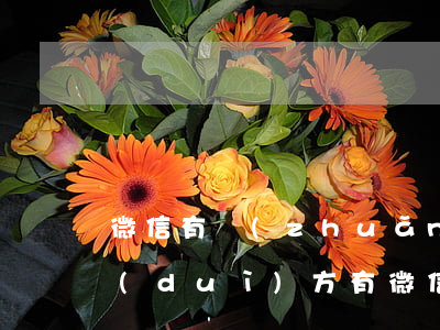 微信有轉(zhuǎn)賬記錄能否起訴對(duì)方(有微信轉(zhuǎn)賬記錄打官司能贏嗎)