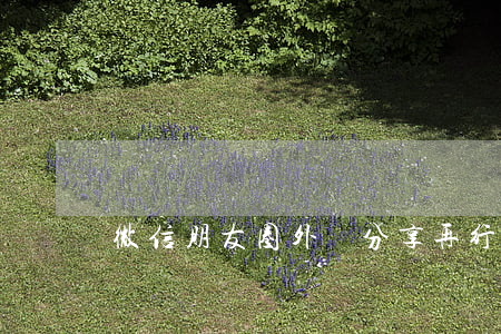 微信朋友圈外鏈分享再行新規(guī)