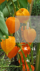 微信朋友圈罵人遭起訴(在微信朋友圈被罵是起訴好還是報警好)