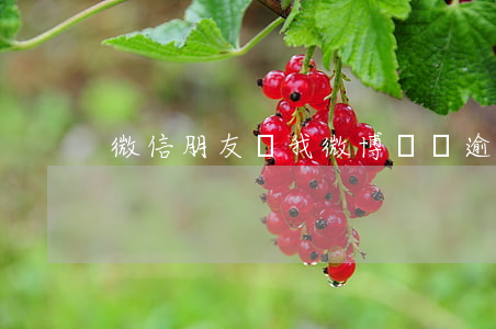 微信朋友說我微博賬單逾期(微博逾期怎么辦)