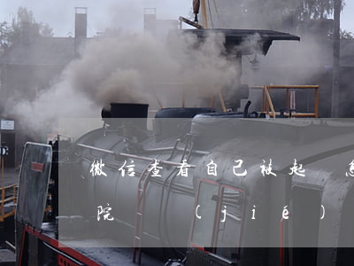 微信查看自己被起訴(怎么查詢微信是否被法院凍結(jié))