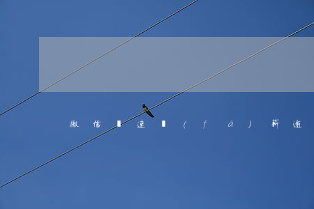 微信極速發(fā)薪逾期