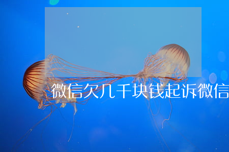 微信欠几千块钱起诉(微信欠几千块钱起诉)