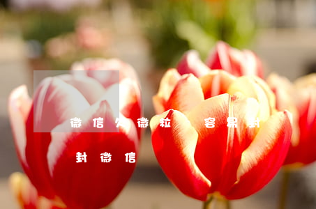 微信欠微粒貸容易封號嗎(微粒貸長期不還會封微信號嗎)