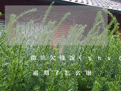 微信欠條說(shuō)逾期仲裁 微信借條逾期了怎么辦