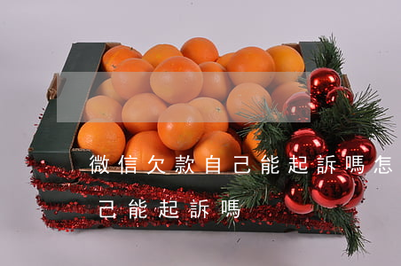 微信欠款自己能起訴嗎怎么起訴（微信欠款自己能起訴嗎）