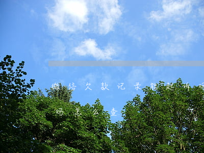 微信欠款记录能起诉吗(微信欠款记录能起诉吗怎么查)