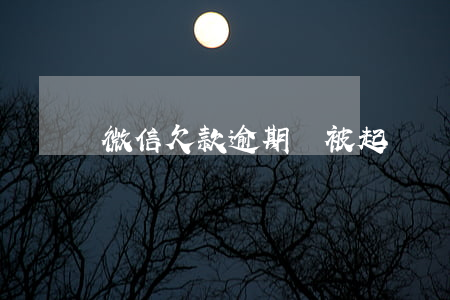 微信欠款逾期會被起訴嗎-微信欠賬能起訴嗎