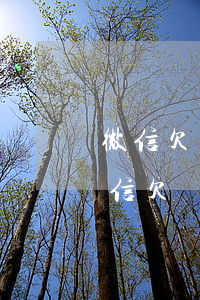 微信欠錢(qián)不還起訴需要什么(微信欠錢(qián)不還起訴需要什么證據(jù))