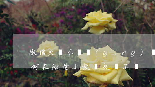 微信欠錢不還應(yīng)該怎么起訴(如何在微信上投訴欠錢不還)