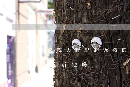 微信欠钱去哪里起诉(微信上欠的钱我可以到法院起诉他吗)