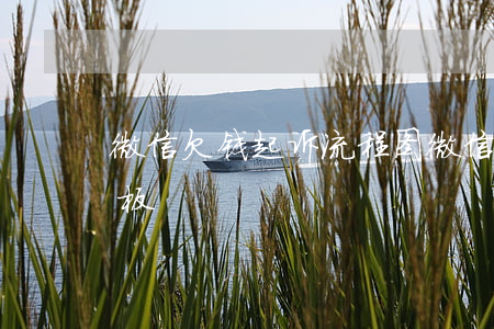 微信欠钱起诉流程图(微信欠款起诉书范文模板)