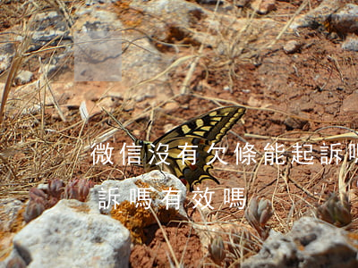 微信沒有欠條能起訴嗎-微信沒有欠條能起訴嗎有效嗎